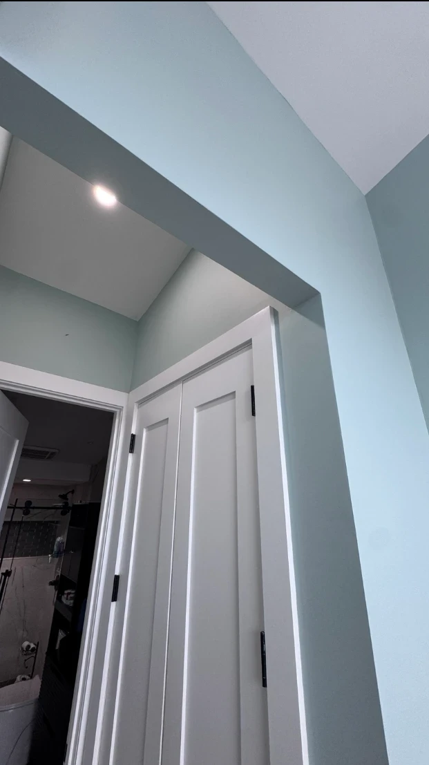 White paneled closet doors with black hinges set into a soft aqua wall and header, with white trim