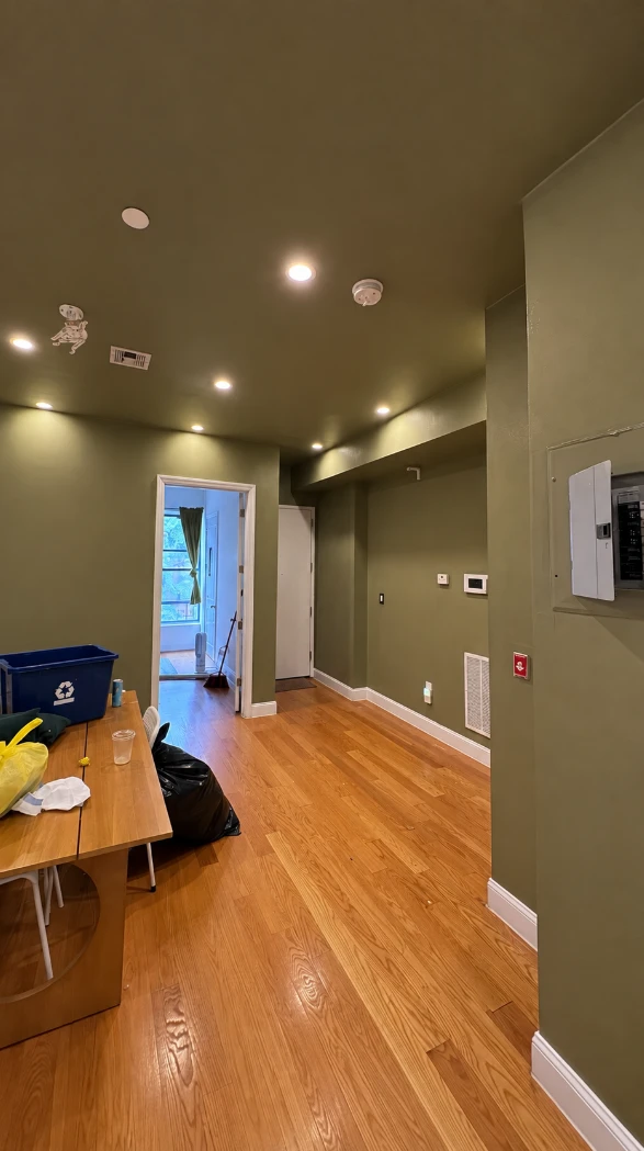 Apartment living space and hallway painted in deep olive green on the walls and ceiling, with white trim, a doorway to a bright bedroom, recessed lights and hardwood floors