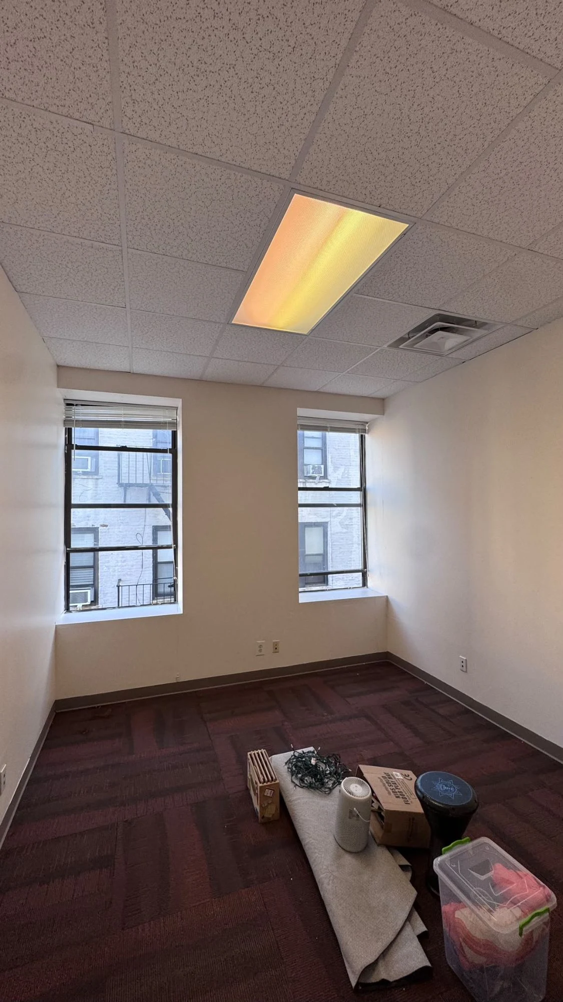 Commercial office with two tall windows and clean warm white walls above dark carpet tiles